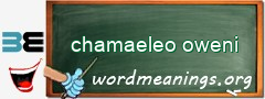 WordMeaning blackboard for chamaeleo oweni